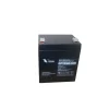 Ắc quy VISION CP1250 (12V - 5Ah)